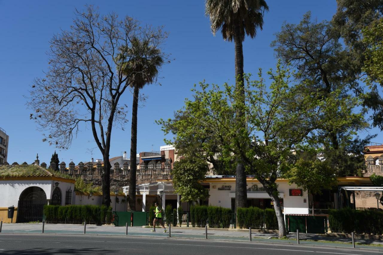 Modern Atico, Close Macarena/Sevilla Center Exterior photo